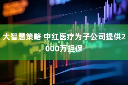 大智慧策略 中红医疗为子公司提供2000万担保