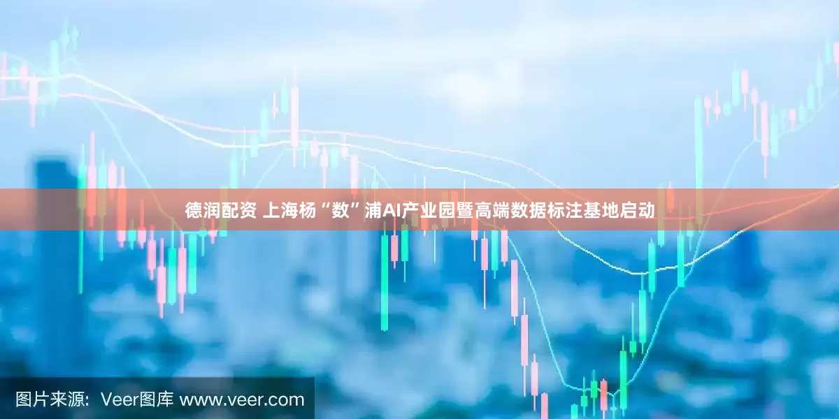 德润配资 上海杨“数”浦AI产业园暨高端数据标注基地启动